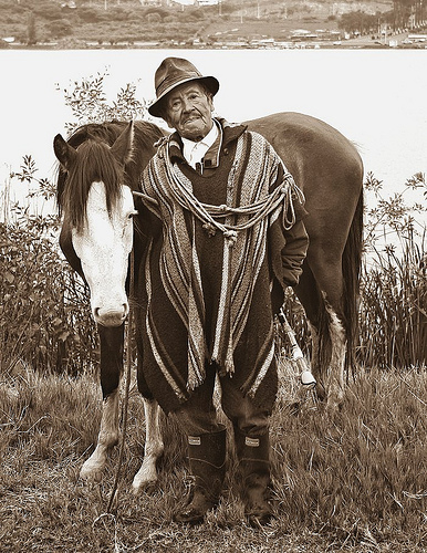 4781473193_706cd85bcf