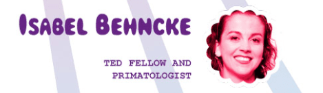 Screen Shot 2016-06-13 at 16.57.30