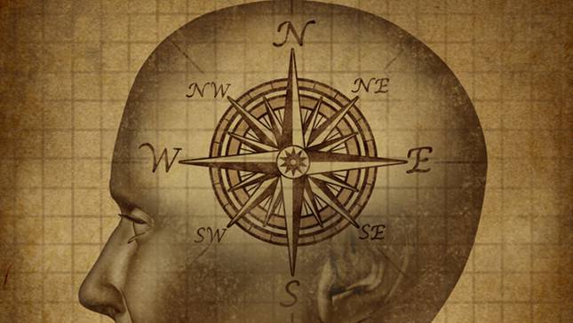 compass-cogs-645x364
