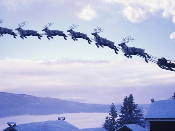 Track, Trace, and&nbsp;Race