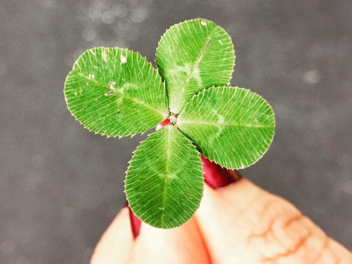 Sense and Serendipity