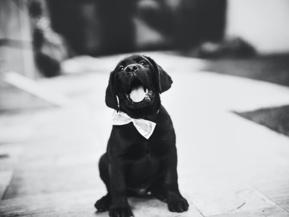 All Tied Up&nbsp;🎀