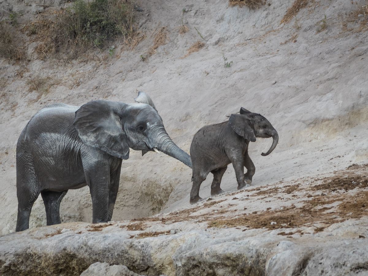 Extra: The Problem With Working From&nbsp;Home