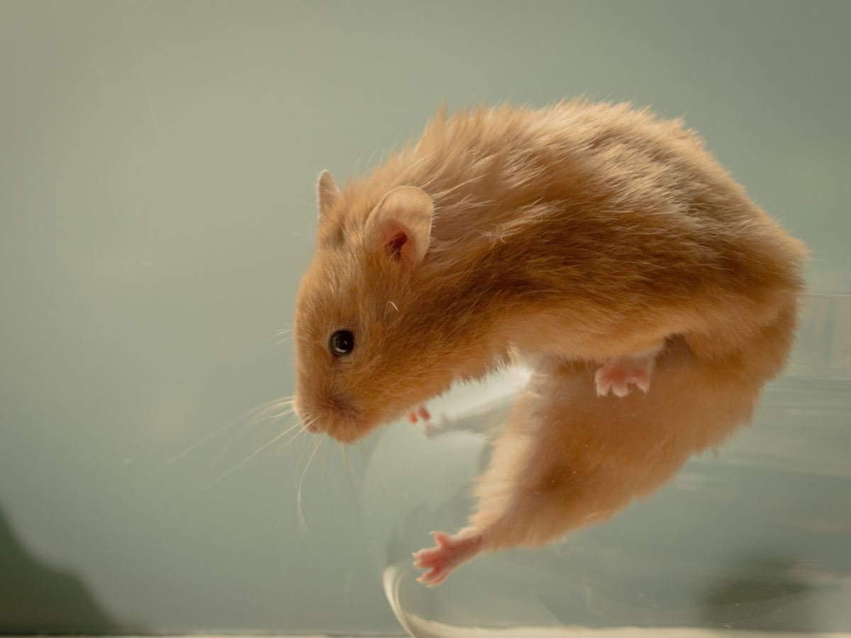 Bad Customer Experience is Expensive to&nbsp;Provide