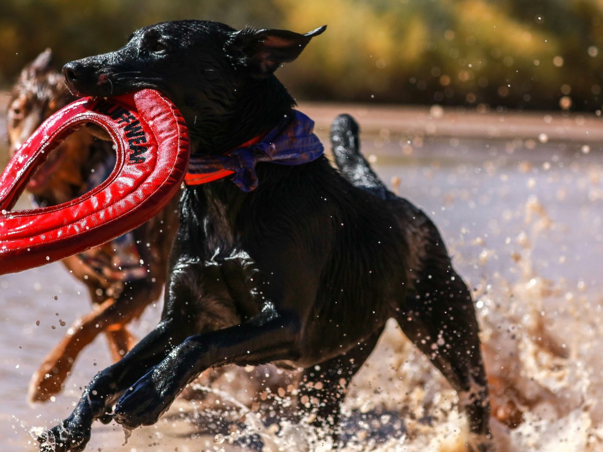 ⛲️ 24 Hours in Water&nbsp;A&E