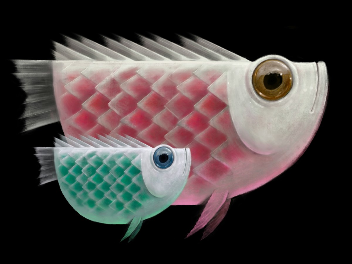 Three Stories on&nbsp;Transparency